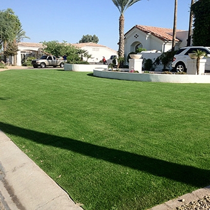 Synthetic Turf San Elizario Texas Landscape