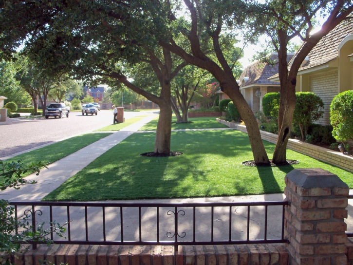 Artificial Grass Agua Dulce Texas Landscape