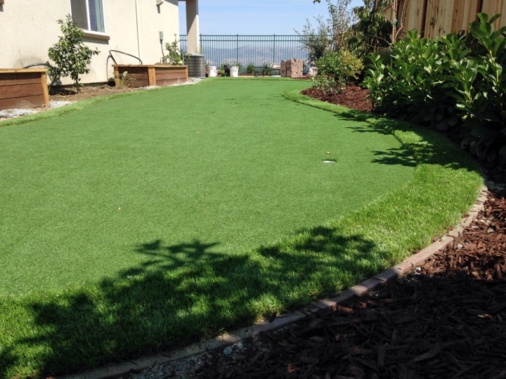 Artificial Grass Anthony Texas Landscape