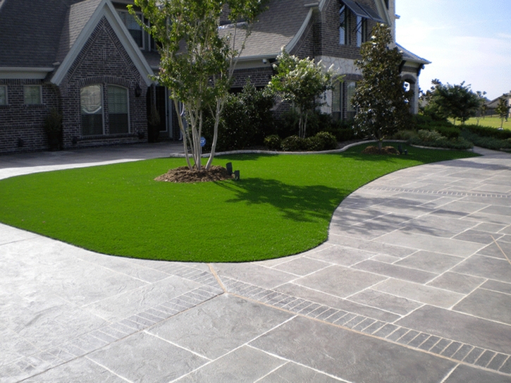 Artificial Grass Anthony Texas Lawn