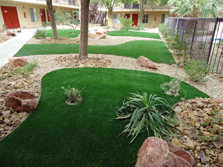 Artificial Grass Butterfield Texas Landscape