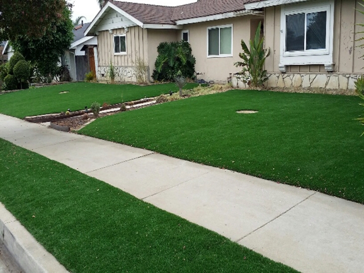 Artificial Grass Fabens Texas Lawn