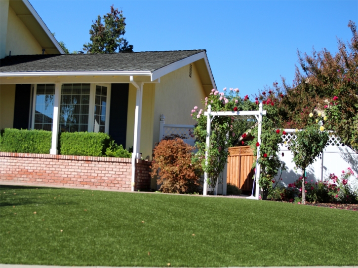 Artificial Grass Fort Bliss Texas Landscape