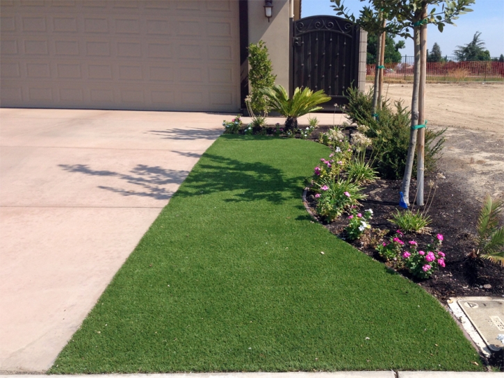 Artificial Grass Horizon City Texas Landscape