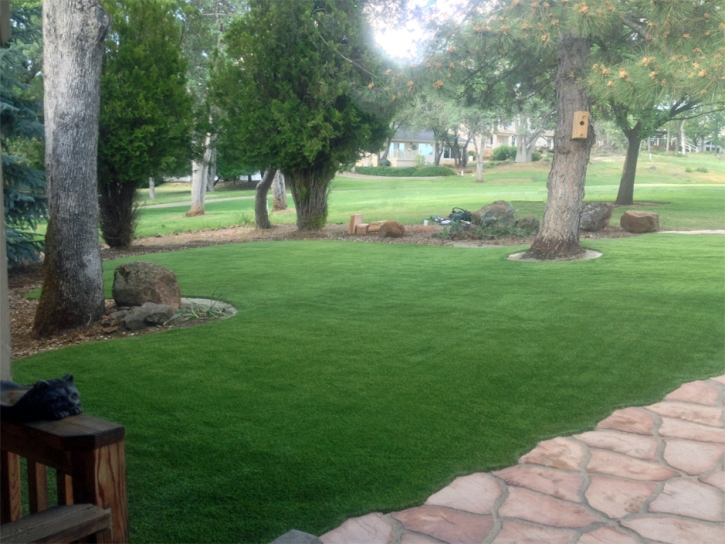 Artificial Grass Horizon City Texas Lawn