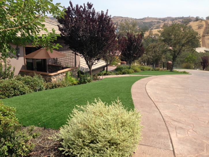 Artificial Grass Sparks Texas Lawn