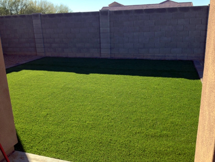 Artificial Grass Tornillo Texas Landscape