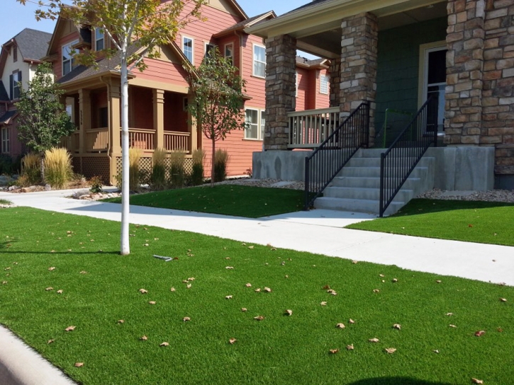 Artificial Grass Vinton Texas Landscape