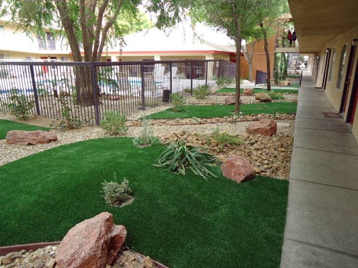 Artificial Grass Westway Texas Landscape