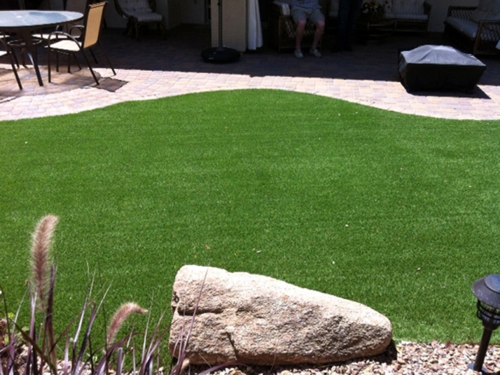 Artificial Pet Turf Fort Bliss Texas for Dogs