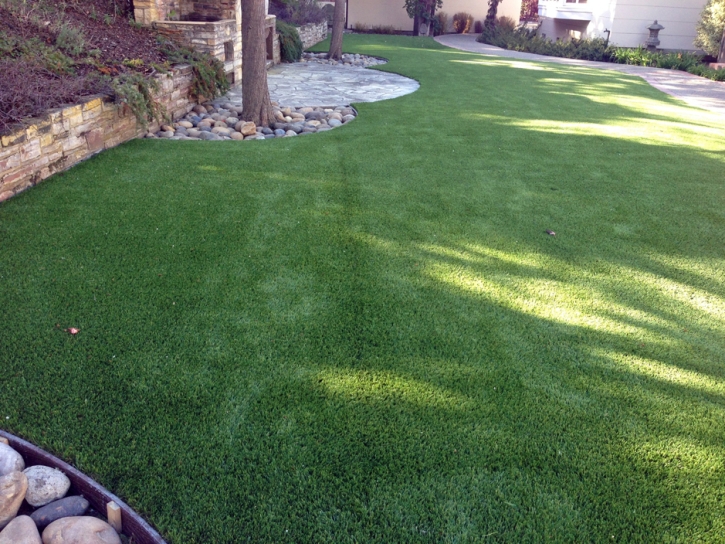 Artificial Pet Turf Prado Verde Texas Installation