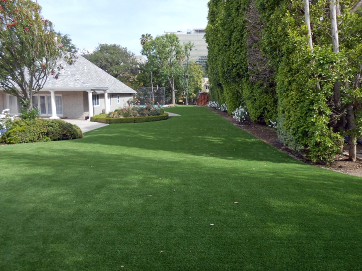 Artificial Pet Turf Socorro Texas for Dogs