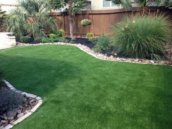 Artificial Pets Areas Clint Texas Installation