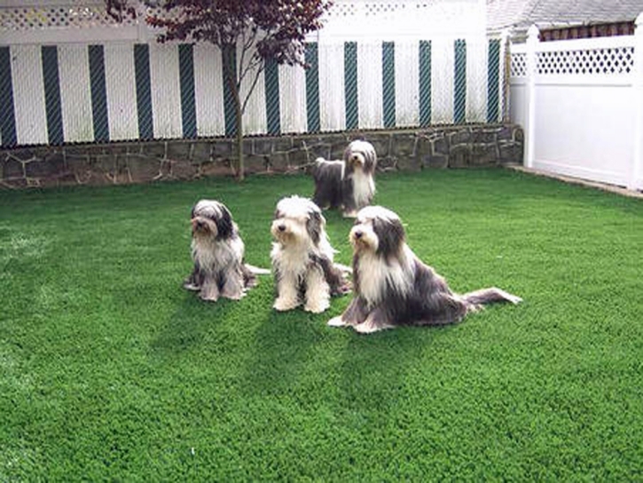 Artificial Pets Areas Socorro Texas Installation