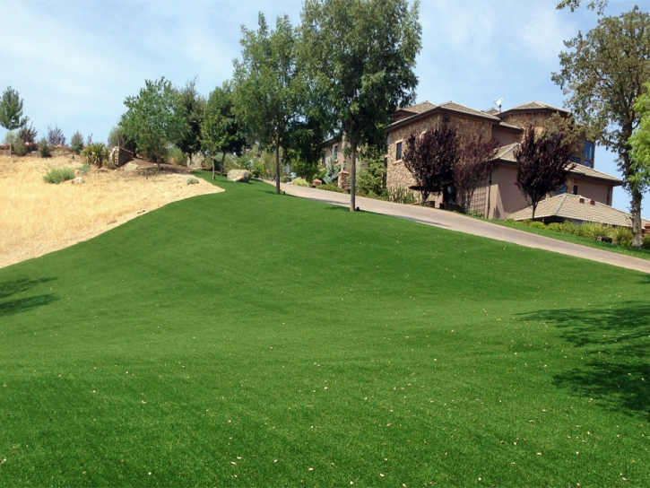 Artificial Turf Agua Dulce Texas Lawn