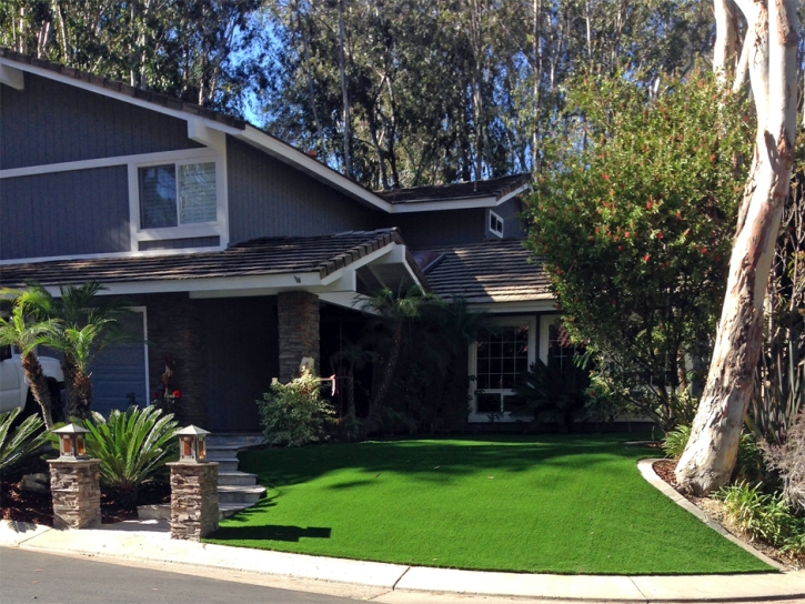 Artificial Turf Anthony Texas Lawn