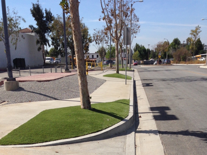 Artificial Turf Canutillo Texas Landscape