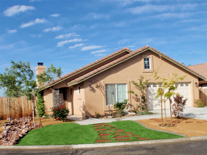 Artificial Turf Fabens Texas Lawn