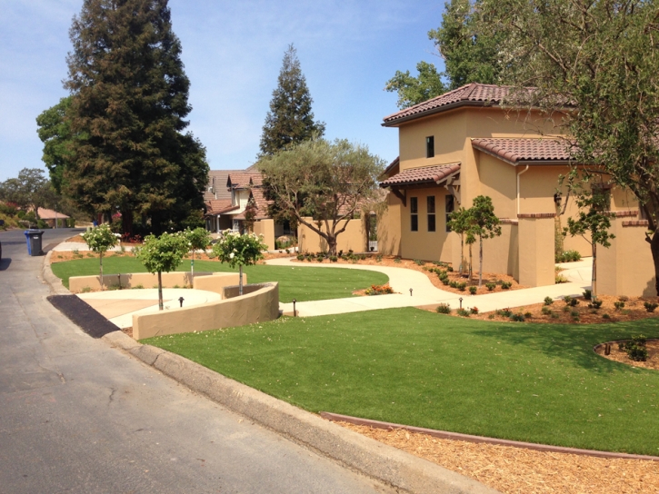 Artificial Turf Fort Bliss Texas Landscape