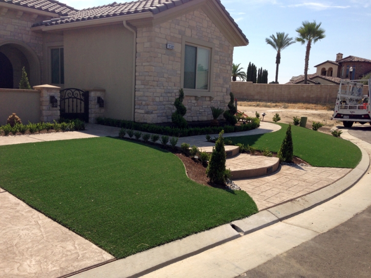 Artificial Turf Homestead Meadows South Texas Landscape