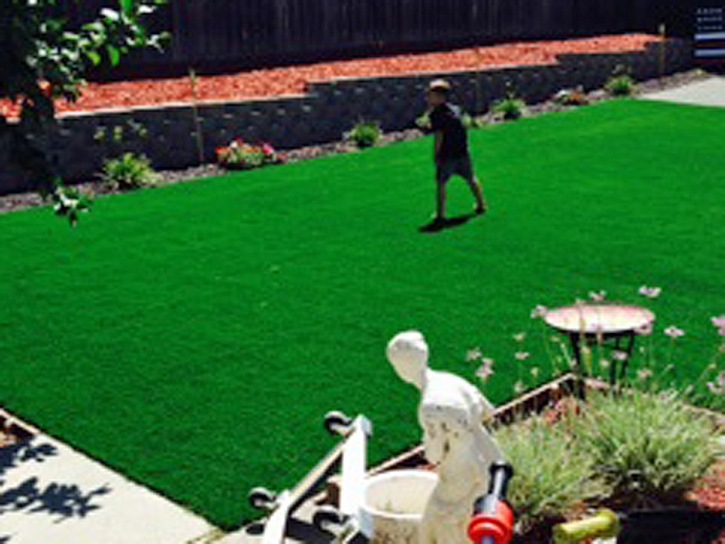 Artificial Turf Horizon City Texas Lawn