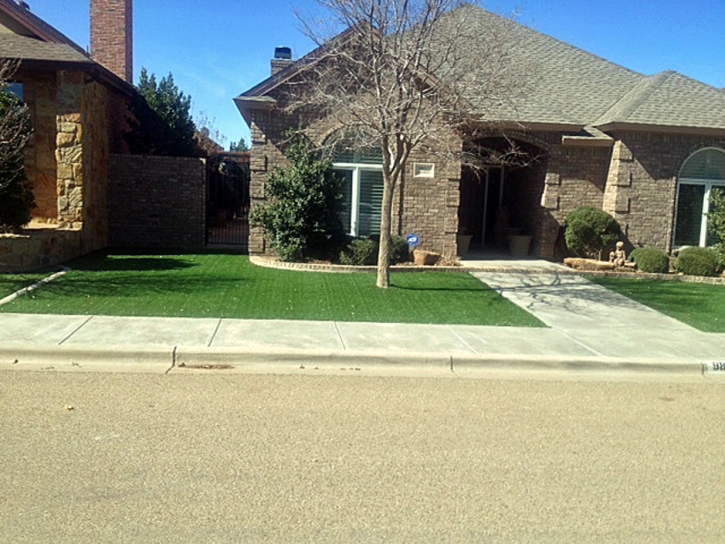 Artificial Turf Morning Glory Texas Landscape