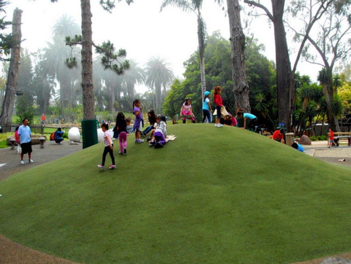 Artificial Turf Morning Glory Texas School