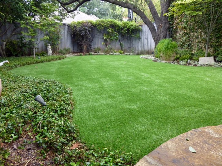 Artificial Turf San Elizario Texas Lawn