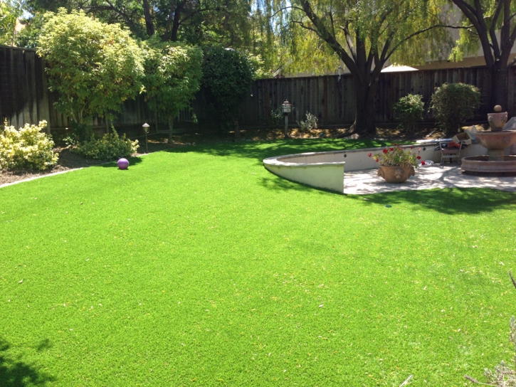 Artificial Turf Socorro Mission Number 1 Colonia Texas Landscape