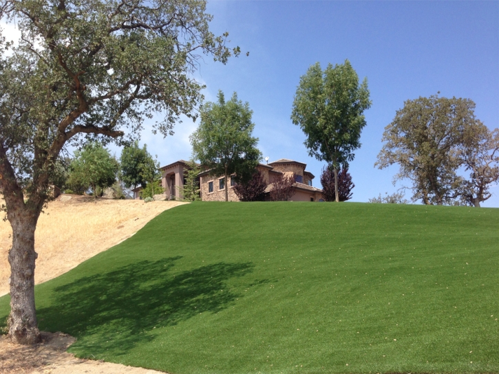 Artificial Turf Sparks Texas Lawn