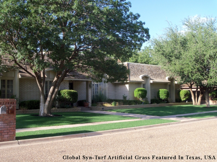 Artificial Turf Tornillo Texas Landscape