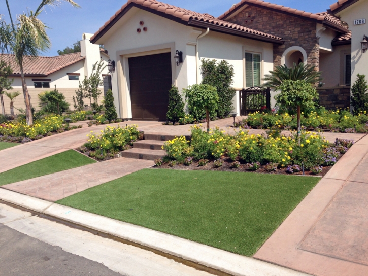 Fake Grass Butterfield Texas Landscape