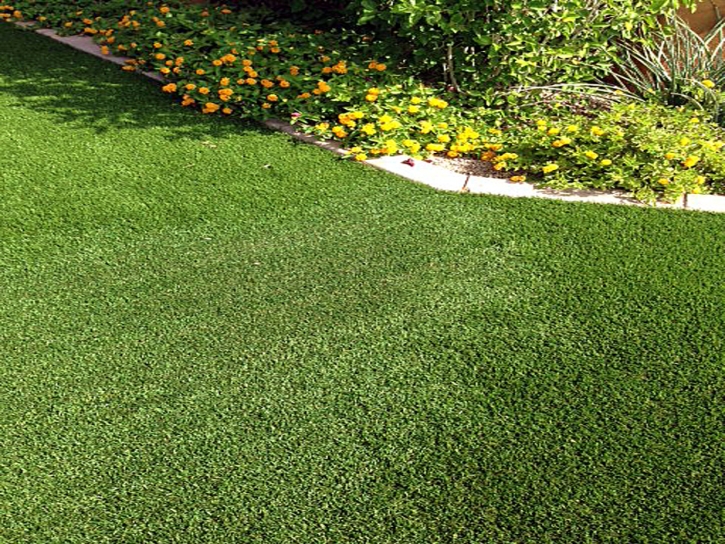 Fake Grass Canutillo Texas Landscape