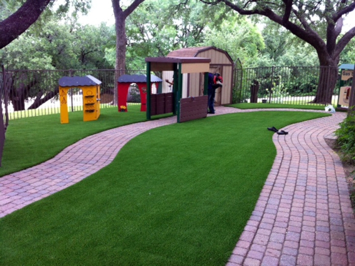 Fake Grass Horizon City Texas Lawn