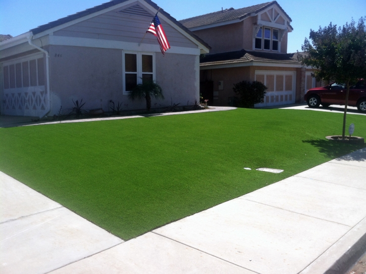 Fake Grass Morning Glory Texas Landscape