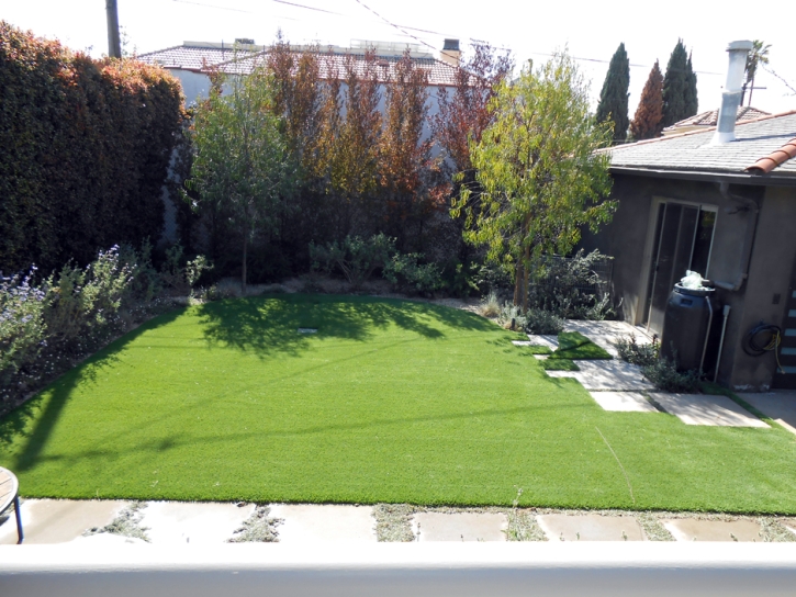 Fake Grass Socorro Mission Number 1 Colonia Texas Landscape