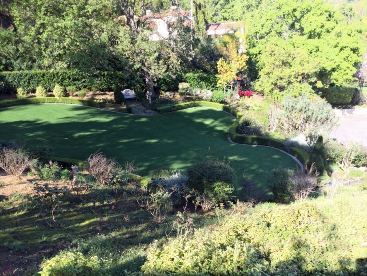 Fake Grass Sparks Texas Landscape