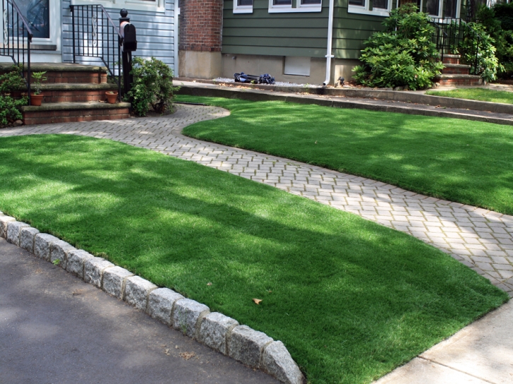 Fake Grass Sparks Texas Lawn