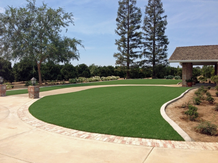 Fake Grass Tornillo Texas Landscape