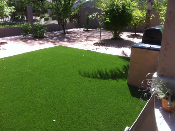 Fake Pet Turf Vinton Texas for Dogs