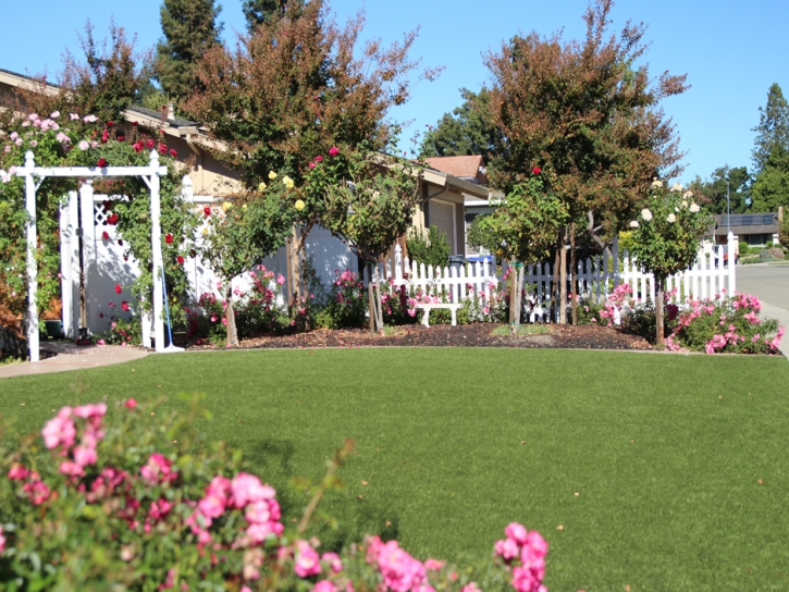 Fake Turf Canutillo Texas Lawn