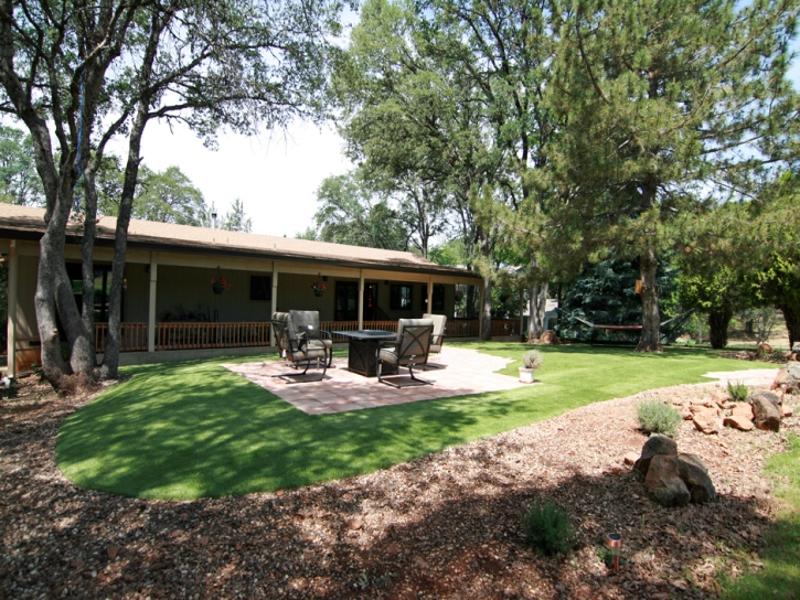 Fake Turf Clint Texas Landscape