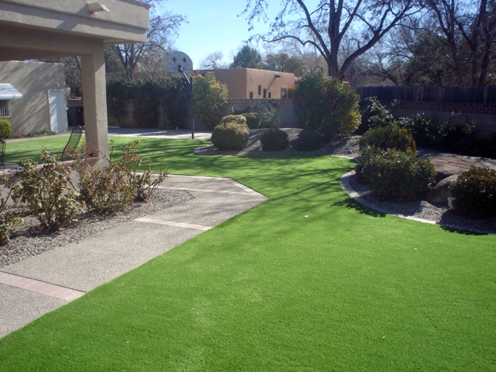 Fake Turf Fabens Texas Landscape