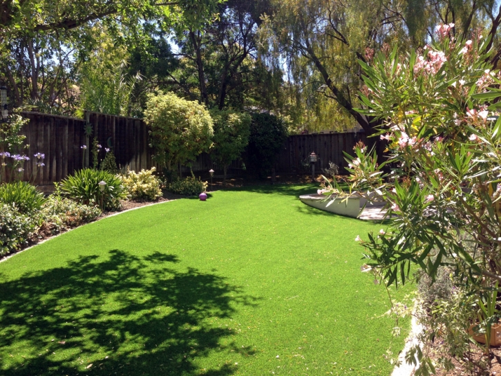 Fake Turf Prado Verde Texas Landscape