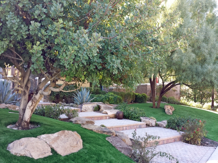 Fake Turf San Elizario Texas Landscape