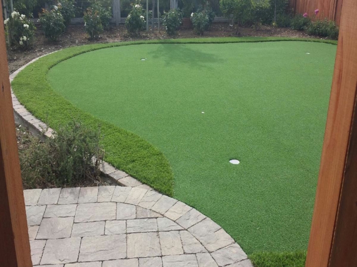 Putting Greens Homestead Meadows South Texas Synthetic Grass