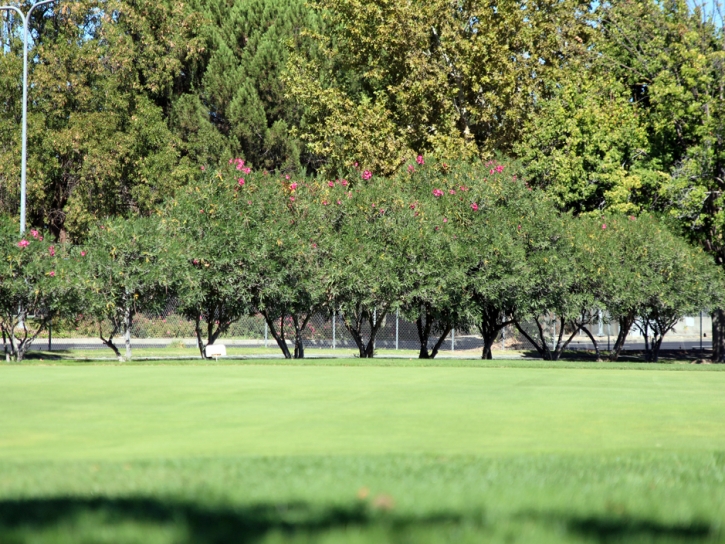 Putting Greens San Elizario Texas Fake Grass