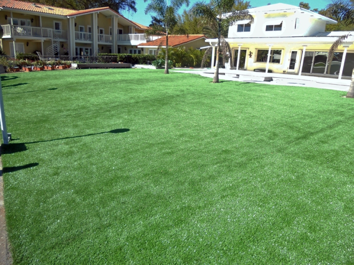 Synthetic Grass Butterfield Texas Landscape