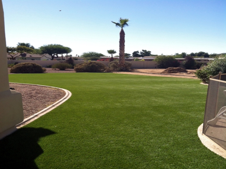 Synthetic Grass Fabens Texas Landscape