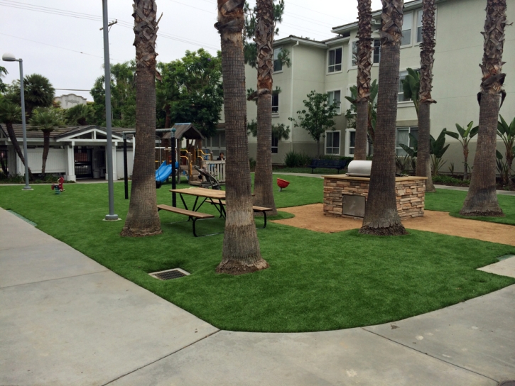 Synthetic Grass Homestead Meadows South Texas Landscape